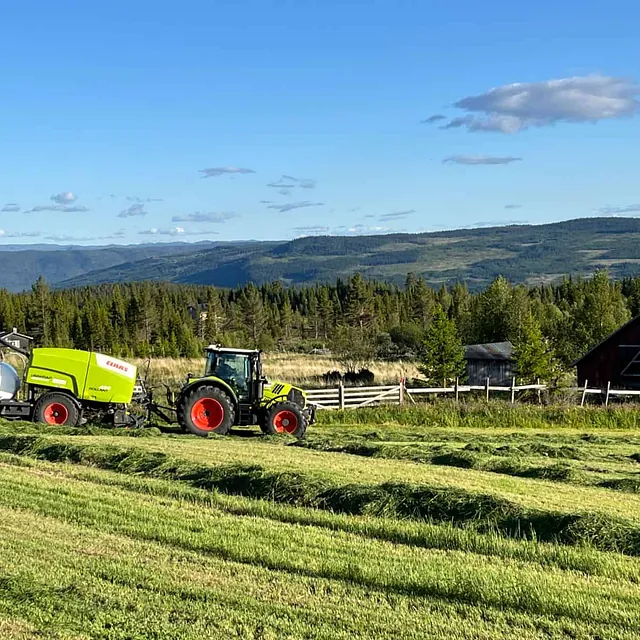 CLAAS-traktor med rundballepresse jobber på jorde omgitt av skog og fjell.